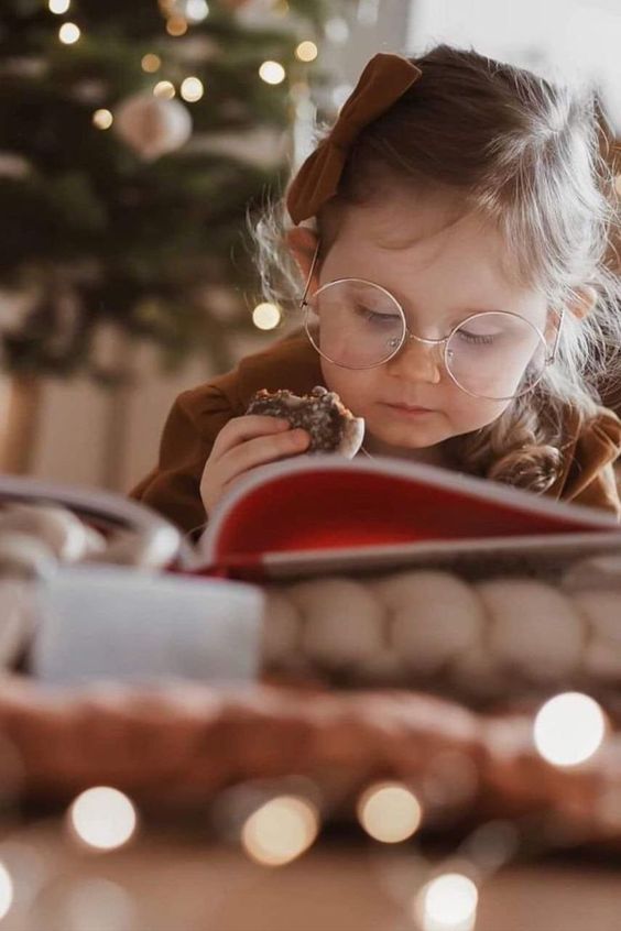 Read more about the article Christmas Books Gift Guide for Kids